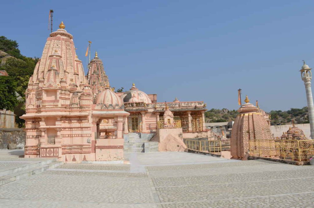 Dog Temple India